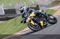 Blue Inter Green/Yellow Bikes