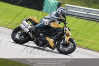 Blue Inter Green/Yellow Bikes