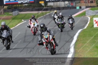 anglesey;brands-hatch;cadwell-park;croft;donington-park;enduro-digital-images;event-digital-images;eventdigitalimages;mallory;no-limits;oulton-park;peter-wileman-photography;racing-digital-images;silverstone;snetterton;trackday-digital-images;trackday-photos;vmcc-banbury-run;welsh-2-day-enduro