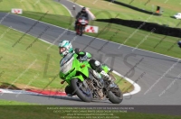 EVENING NOVICE/INTER GREEN/YELLOW BIKES