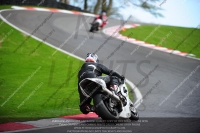 INTER BLUE/WHITE BIKES
