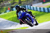 INTER BLUE/WHITE BIKES