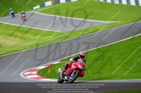 NOVICE RED/ORANGE BIKES