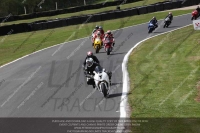 anglesey;brands-hatch;cadwell-park;croft;donington-park;enduro-digital-images;event-digital-images;eventdigitalimages;mallory;no-limits;oulton-park;peter-wileman-photography;racing-digital-images;silverstone;snetterton;trackday-digital-images;trackday-photos;vmcc-banbury-run;welsh-2-day-enduro