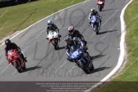 anglesey;brands-hatch;cadwell-park;croft;donington-park;enduro-digital-images;event-digital-images;eventdigitalimages;mallory;no-limits;oulton-park;peter-wileman-photography;racing-digital-images;silverstone;snetterton;trackday-digital-images;trackday-photos;vmcc-banbury-run;welsh-2-day-enduro