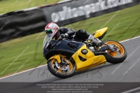 anglesey;brands-hatch;cadwell-park;croft;donington-park;enduro-digital-images;event-digital-images;eventdigitalimages;mallory;no-limits;oulton-park;peter-wileman-photography;racing-digital-images;silverstone;snetterton;trackday-digital-images;trackday-photos;vmcc-banbury-run;welsh-2-day-enduro