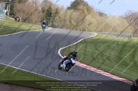 anglesey;brands-hatch;cadwell-park;croft;donington-park;enduro-digital-images;event-digital-images;eventdigitalimages;mallory;no-limits;oulton-park;peter-wileman-photography;racing-digital-images;silverstone;snetterton;trackday-digital-images;trackday-photos;vmcc-banbury-run;welsh-2-day-enduro