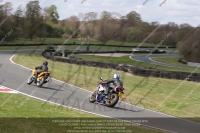 anglesey;brands-hatch;cadwell-park;croft;donington-park;enduro-digital-images;event-digital-images;eventdigitalimages;mallory;no-limits;oulton-park;peter-wileman-photography;racing-digital-images;silverstone;snetterton;trackday-digital-images;trackday-photos;vmcc-banbury-run;welsh-2-day-enduro