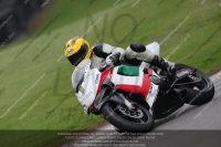 Inter Multicolour Bikes