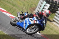 Novice Blue/White Bikes