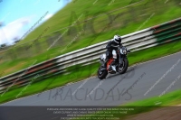 Novice Blue/White Bikes