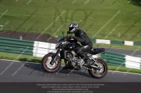 Evening Fast/Inter Black/silver Bikes