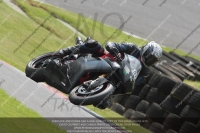Novice Black/Silver Bikes