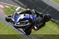 Novice Blue/White Bikes