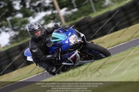 Evening Novice/Inter Blue/White Bikes
