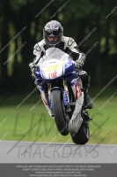 Fast Blue/White Bikes