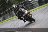 Inter Black/Silver Bikes