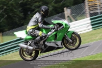 Inter Green/Yellow Bikes