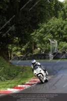 Novice Blue/White Bikes