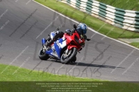 cadwell-no-limits-trackday;cadwell-park;cadwell-park-photographs;cadwell-trackday-photographs;enduro-digital-images;event-digital-images;eventdigitalimages;no-limits-trackdays;peter-wileman-photography;racing-digital-images;trackday-digital-images;trackday-photos