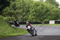 Novice Blue/White Bikes