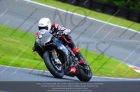 enduro-digital-images;event-digital-images;eventdigitalimages;no-limits-trackdays;oulton-no-limits-trackday;oulton-park-cheshire;oulton-trackday-photographs;peter-wileman-photography;racing-digital-images;trackday-digital-images;trackday-photos
