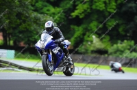 enduro-digital-images;event-digital-images;eventdigitalimages;no-limits-trackdays;oulton-no-limits-trackday;oulton-park-cheshire;oulton-trackday-photographs;peter-wileman-photography;racing-digital-images;trackday-digital-images;trackday-photos