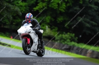 enduro-digital-images;event-digital-images;eventdigitalimages;no-limits-trackdays;oulton-no-limits-trackday;oulton-park-cheshire;oulton-trackday-photographs;peter-wileman-photography;racing-digital-images;trackday-digital-images;trackday-photos