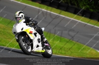 enduro-digital-images;event-digital-images;eventdigitalimages;no-limits-trackdays;oulton-no-limits-trackday;oulton-park-cheshire;oulton-trackday-photographs;peter-wileman-photography;racing-digital-images;trackday-digital-images;trackday-photos