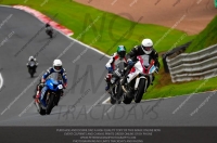 enduro-digital-images;event-digital-images;eventdigitalimages;no-limits-trackdays;oulton-no-limits-trackday;oulton-park-cheshire;oulton-trackday-photographs;peter-wileman-photography;racing-digital-images;trackday-digital-images;trackday-photos
