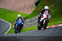 enduro-digital-images;event-digital-images;eventdigitalimages;no-limits-trackdays;oulton-no-limits-trackday;oulton-park-cheshire;oulton-trackday-photographs;peter-wileman-photography;racing-digital-images;trackday-digital-images;trackday-photos