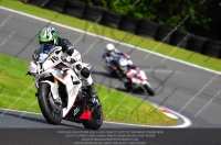 enduro-digital-images;event-digital-images;eventdigitalimages;no-limits-trackdays;oulton-no-limits-trackday;oulton-park-cheshire;oulton-trackday-photographs;peter-wileman-photography;racing-digital-images;trackday-digital-images;trackday-photos