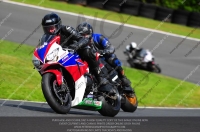 enduro-digital-images;event-digital-images;eventdigitalimages;no-limits-trackdays;oulton-no-limits-trackday;oulton-park-cheshire;oulton-trackday-photographs;peter-wileman-photography;racing-digital-images;trackday-digital-images;trackday-photos