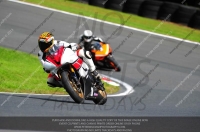 enduro-digital-images;event-digital-images;eventdigitalimages;no-limits-trackdays;oulton-no-limits-trackday;oulton-park-cheshire;oulton-trackday-photographs;peter-wileman-photography;racing-digital-images;trackday-digital-images;trackday-photos
