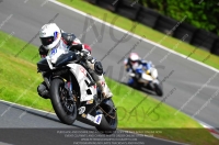 enduro-digital-images;event-digital-images;eventdigitalimages;no-limits-trackdays;oulton-no-limits-trackday;oulton-park-cheshire;oulton-trackday-photographs;peter-wileman-photography;racing-digital-images;trackday-digital-images;trackday-photos
