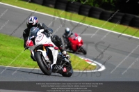 enduro-digital-images;event-digital-images;eventdigitalimages;no-limits-trackdays;oulton-no-limits-trackday;oulton-park-cheshire;oulton-trackday-photographs;peter-wileman-photography;racing-digital-images;trackday-digital-images;trackday-photos