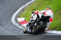 enduro-digital-images;event-digital-images;eventdigitalimages;no-limits-trackdays;oulton-no-limits-trackday;oulton-park-cheshire;oulton-trackday-photographs;peter-wileman-photography;racing-digital-images;trackday-digital-images;trackday-photos