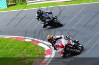 enduro-digital-images;event-digital-images;eventdigitalimages;no-limits-trackdays;oulton-no-limits-trackday;oulton-park-cheshire;oulton-trackday-photographs;peter-wileman-photography;racing-digital-images;trackday-digital-images;trackday-photos