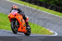 enduro-digital-images;event-digital-images;eventdigitalimages;no-limits-trackdays;oulton-no-limits-trackday;oulton-park-cheshire;oulton-trackday-photographs;peter-wileman-photography;racing-digital-images;trackday-digital-images;trackday-photos