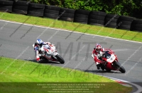enduro-digital-images;event-digital-images;eventdigitalimages;no-limits-trackdays;oulton-no-limits-trackday;oulton-park-cheshire;oulton-trackday-photographs;peter-wileman-photography;racing-digital-images;trackday-digital-images;trackday-photos
