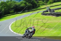 enduro-digital-images;event-digital-images;eventdigitalimages;no-limits-trackdays;oulton-no-limits-trackday;oulton-park-cheshire;oulton-trackday-photographs;peter-wileman-photography;racing-digital-images;trackday-digital-images;trackday-photos