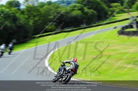 enduro-digital-images;event-digital-images;eventdigitalimages;no-limits-trackdays;oulton-no-limits-trackday;oulton-park-cheshire;oulton-trackday-photographs;peter-wileman-photography;racing-digital-images;trackday-digital-images;trackday-photos