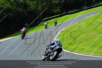 enduro-digital-images;event-digital-images;eventdigitalimages;no-limits-trackdays;oulton-no-limits-trackday;oulton-park-cheshire;oulton-trackday-photographs;peter-wileman-photography;racing-digital-images;trackday-digital-images;trackday-photos