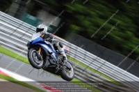 enduro-digital-images;event-digital-images;eventdigitalimages;no-limits-trackdays;oulton-no-limits-trackday;oulton-park-cheshire;oulton-trackday-photographs;peter-wileman-photography;racing-digital-images;trackday-digital-images;trackday-photos