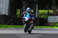 enduro-digital-images;event-digital-images;eventdigitalimages;no-limits-trackdays;oulton-no-limits-trackday;oulton-park-cheshire;oulton-trackday-photographs;peter-wileman-photography;racing-digital-images;trackday-digital-images;trackday-photos