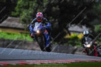enduro-digital-images;event-digital-images;eventdigitalimages;no-limits-trackdays;oulton-no-limits-trackday;oulton-park-cheshire;oulton-trackday-photographs;peter-wileman-photography;racing-digital-images;trackday-digital-images;trackday-photos