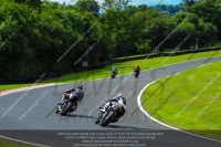 enduro-digital-images;event-digital-images;eventdigitalimages;no-limits-trackdays;oulton-no-limits-trackday;oulton-park-cheshire;oulton-trackday-photographs;peter-wileman-photography;racing-digital-images;trackday-digital-images;trackday-photos
