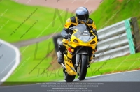 enduro-digital-images;event-digital-images;eventdigitalimages;no-limits-trackdays;oulton-no-limits-trackday;oulton-park-cheshire;oulton-trackday-photographs;peter-wileman-photography;racing-digital-images;trackday-digital-images;trackday-photos