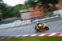 enduro-digital-images;event-digital-images;eventdigitalimages;no-limits-trackdays;oulton-no-limits-trackday;oulton-park-cheshire;oulton-trackday-photographs;peter-wileman-photography;racing-digital-images;trackday-digital-images;trackday-photos