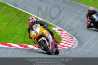 enduro-digital-images;event-digital-images;eventdigitalimages;no-limits-trackdays;oulton-no-limits-trackday;oulton-park-cheshire;oulton-trackday-photographs;peter-wileman-photography;racing-digital-images;trackday-digital-images;trackday-photos